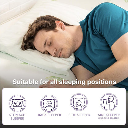 NapQueen Twin Size Mattress, 6 Inch Anula Green Tea Infused Memory Foam Mattress, Twin Size Mattress Bed in a Box, CertiPUR-US Certified Mattress