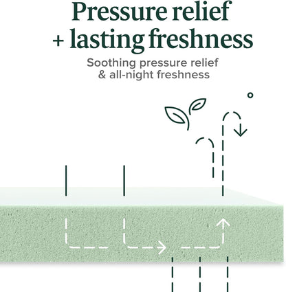 ZINUS 5 Inch Green Tea Memory Foam Mattress [New Version], Twin, Fiberglass free, Medium Firm Feel, Zoned Pressure Relief, Certified Safe Foams & Fabric, Mattress in A Box