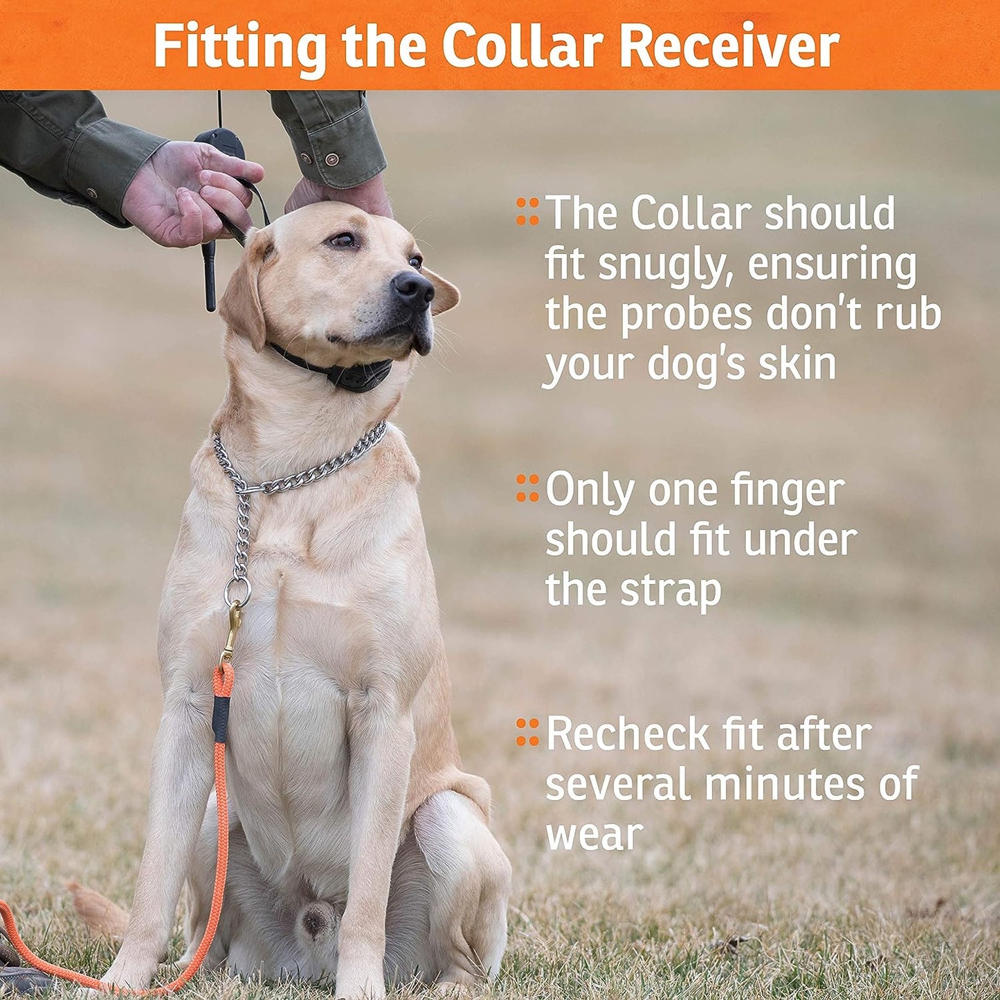 SportDOG Brand NoBark 10 Collar - Rechargeable, Programmable Bark Collar - Waterproof & Submersible, Black